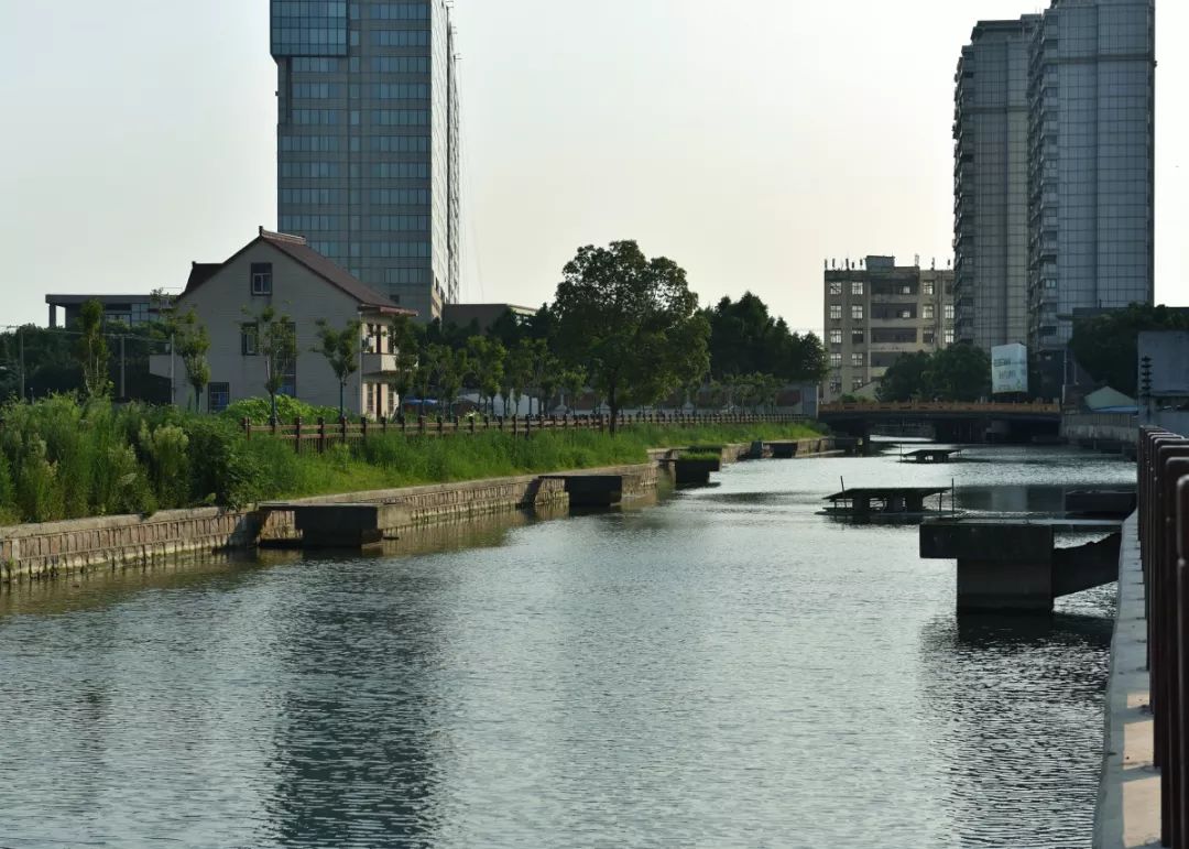 【图说】徐泾水环境“成绩单”出炉,一组图片眼见为实