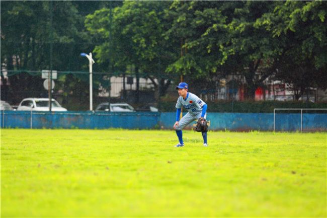 世警会2022,世警会战队