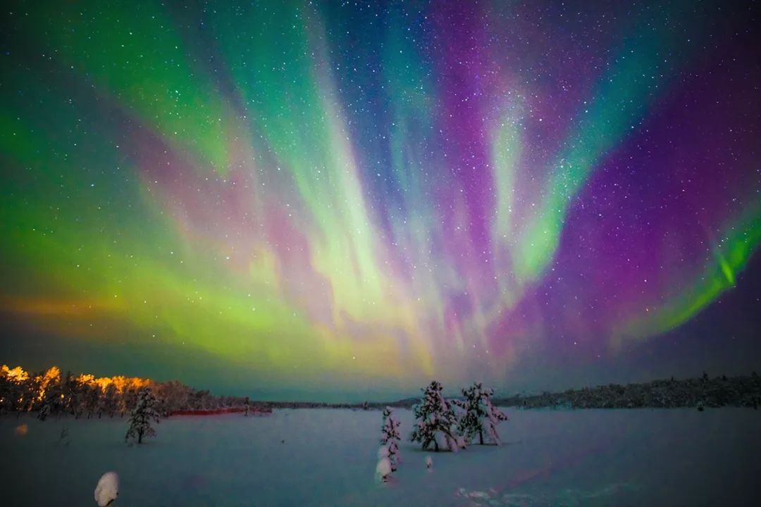 为什么我们迷恋恐龙,为什么我们痴迷篮球