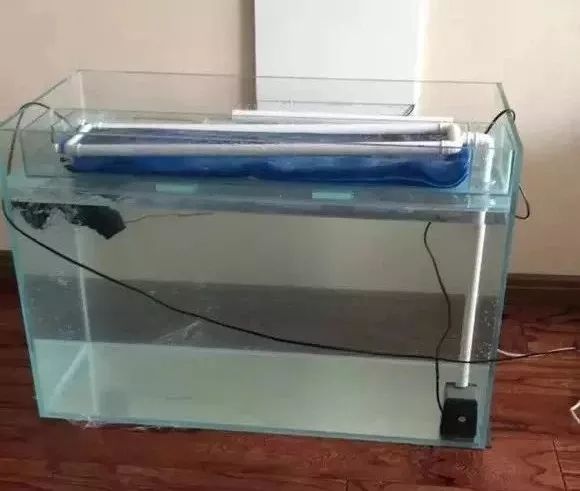 罗汉鱼开缸全过程,罗汉缸需要多少钱