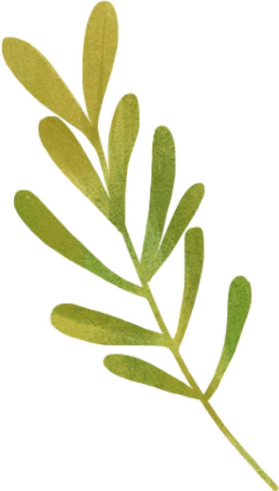 georgeshobeika2017春夏高定,巴黎时尚时装周