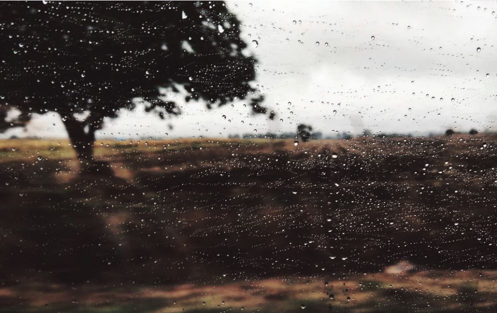 秋天的诗句15篇,5篇关于秋天的诗词