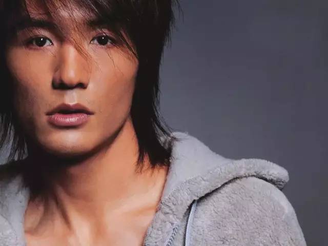 为什么朴树这么火,为什么朴树价格这么高