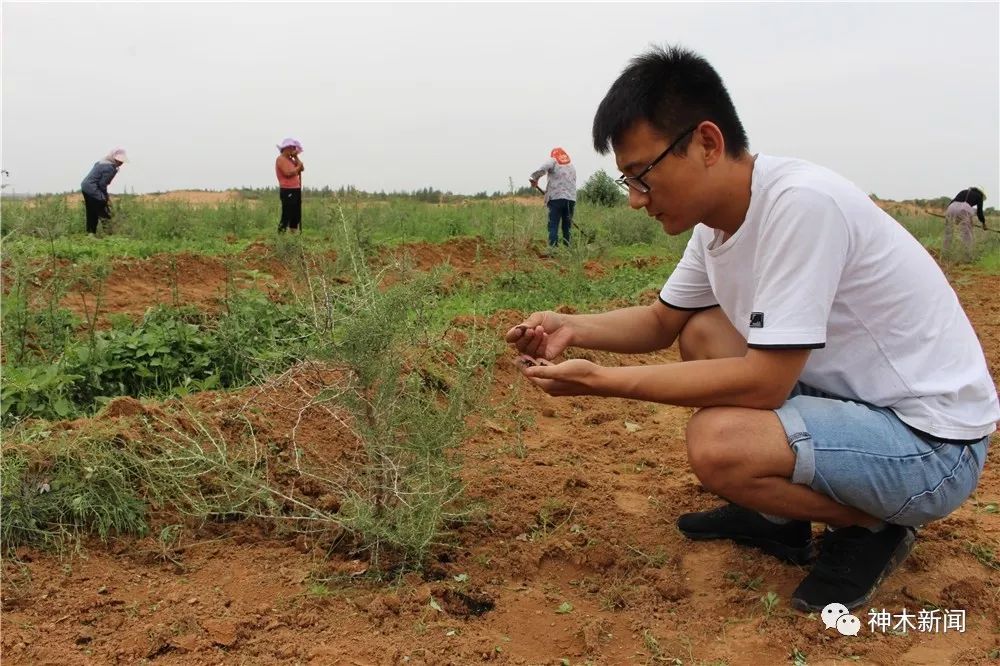 90后小伙子带村民致富,90后小伙带领全村人致富后续