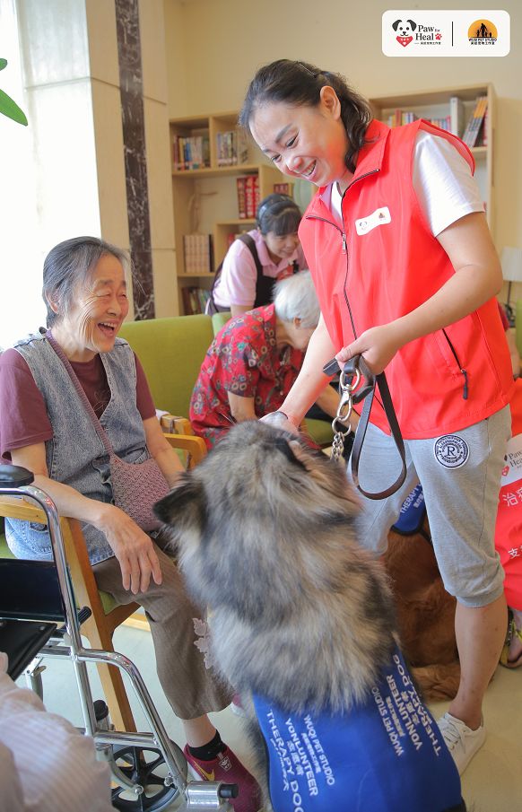 用生命影响生命朗诵央视,用生命影响生命手语朗诵