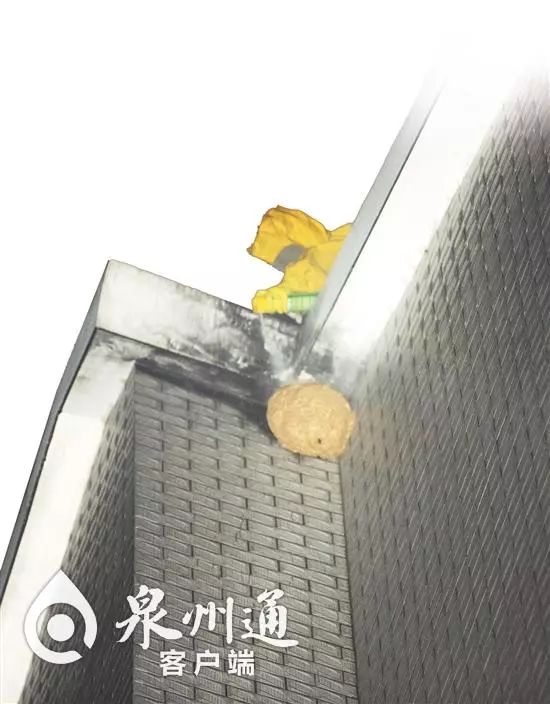当心有毒虫,夏季当心这6种小虫被咬可能丧命