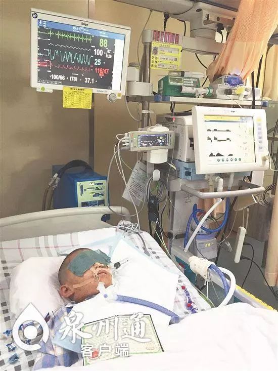 最近被抓的毒虫,警惕这种虫有人被咬后差点没命