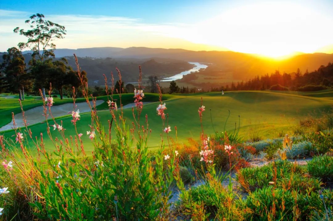 南非高尔夫球旅游,南非高尔夫