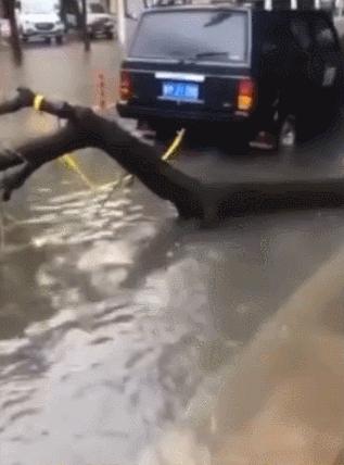 山东解除台风蓝色预警,山东省气象台解除大风黄色预警