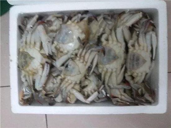 街头开车卖冻螃蟹被骗怎么办,长春路边卖螃蟹