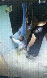 保时捷女司机的道歉到底证明什么,保时捷女司机最后怎么了