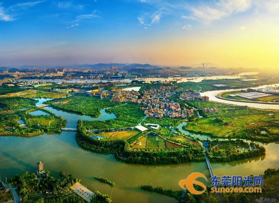 东莞出口创汇十强镇,外贸百强城市