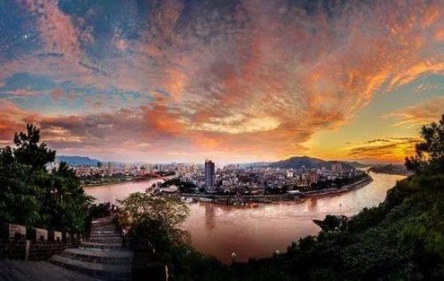 没落的国产手机品牌,中国哪些手机品牌没落