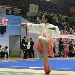 平凉武术套路锦标赛,第三届崆峒武术锦标赛