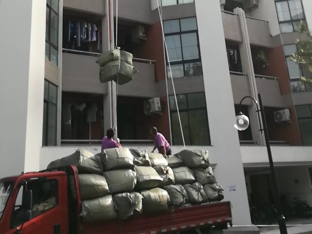 爱你已“九”∣快来领取你的清华报到攻略吧！