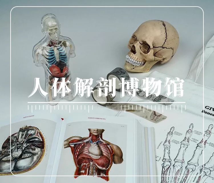 周末这样过总是嫌吃不够怎么办,周末总是过得很颓废