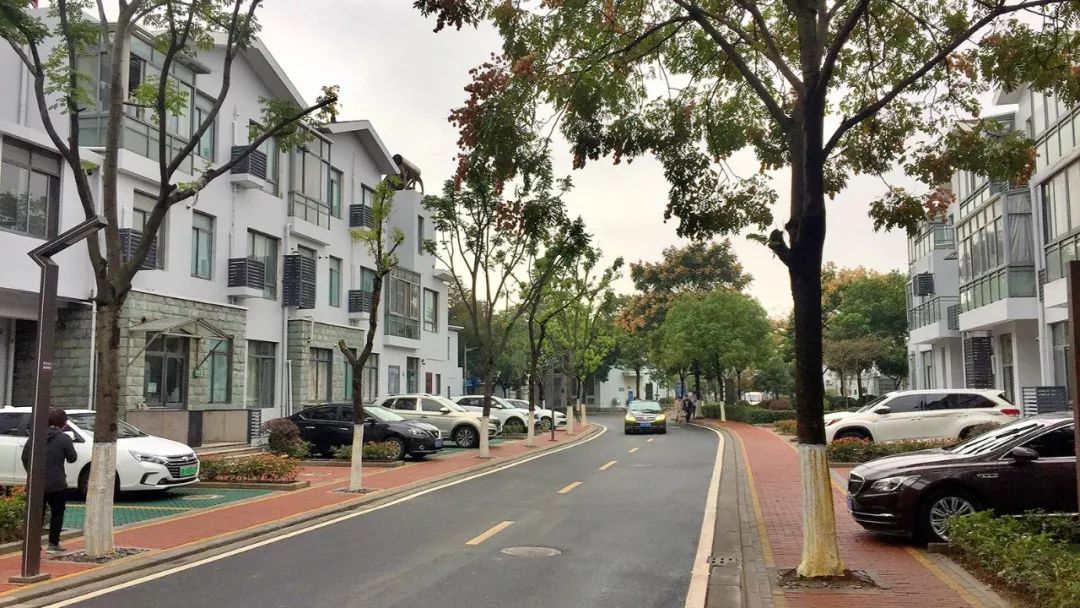 八大专项整治城区人居环境,环境卫生大整治助力三城联创