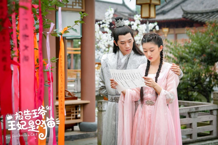 《报告王爷，王妃是只猫》杀青，袁雨萱张炯敏首秀荧屏初吻