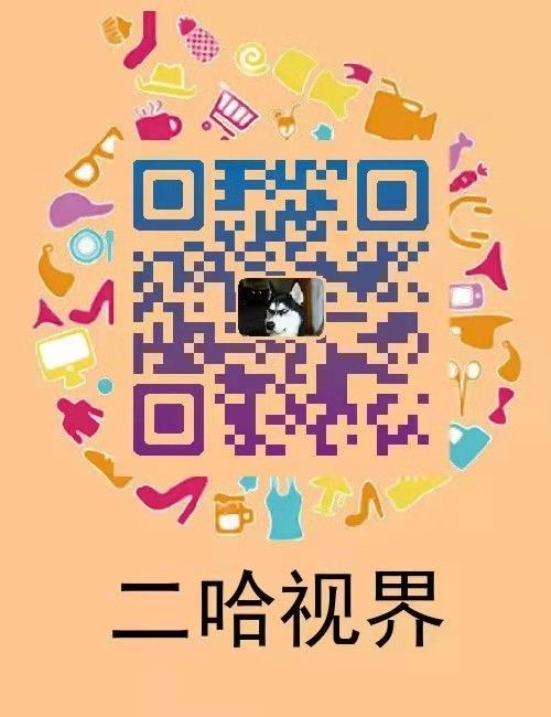 活跃度高的公众号推荐,十个高质量公众号推荐平台