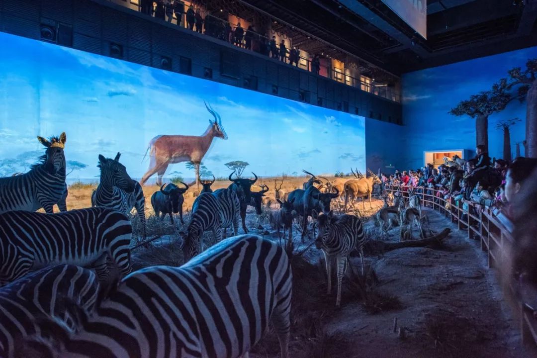 来到上海后的震撼,去了上海就去了全世界