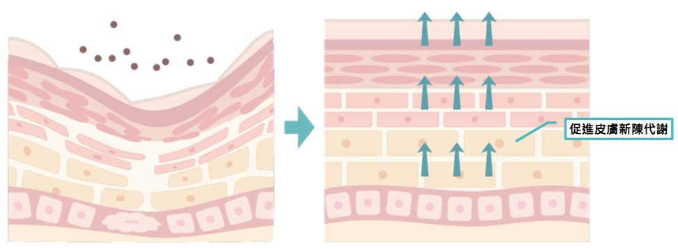 4成抗衰老眼霜抗衰老功效并不显著,同样功效的眼霜价格竟相差7倍?小鱼抗衰老眼霜绿鱼榜单为你揭晓