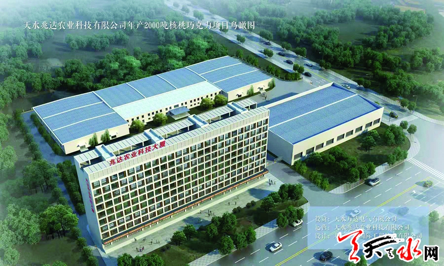 天水兆达核桃巧克力项目建设见闻