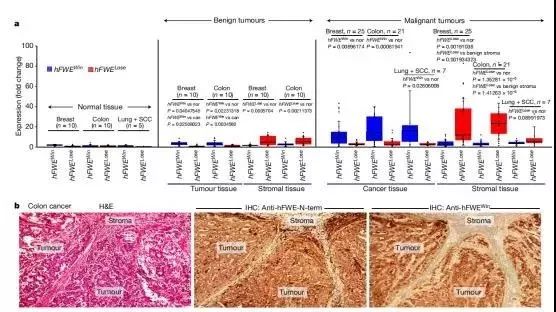 angelababy的早期ins,ins上的angelababy视频