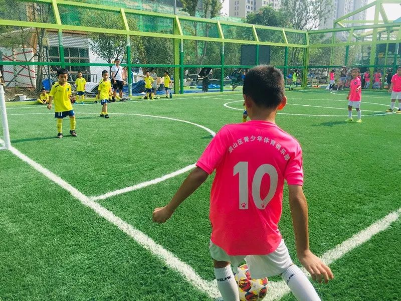 杨春湖社区足球场,洪山区武汉足球主题公园
