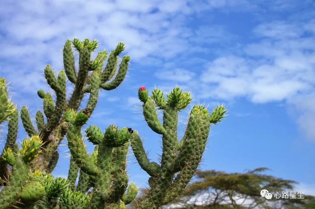 “医生，我活动后心脏支架移位怎么办？”他坐着轮椅焦虑的说