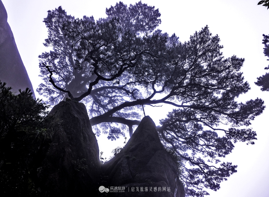 黄山为什么烟雾缭绕,黄山禁烟严不严