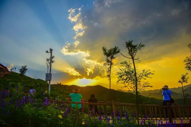 南天丽景绿溪谷,兴隆县南天丽景千亩花海