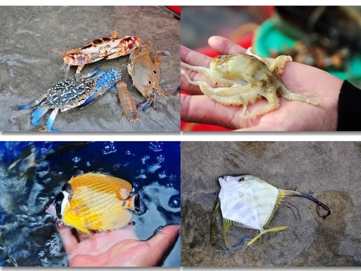 中国大陆海岸最东端,冬季北海道海鲜