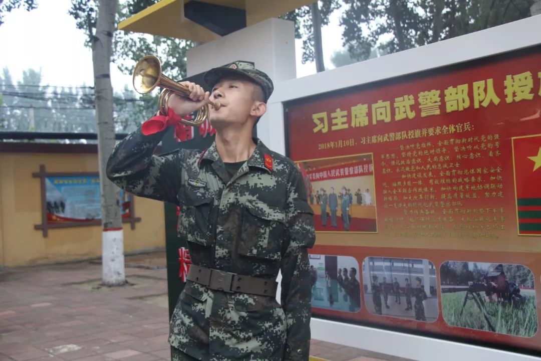 军营之星新兵,军旅生涯结束新的岗位启航