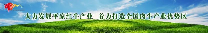 【关注】崆峒区庆祝中华人民共和国70周年歌咏比赛侧记(附高清大图)