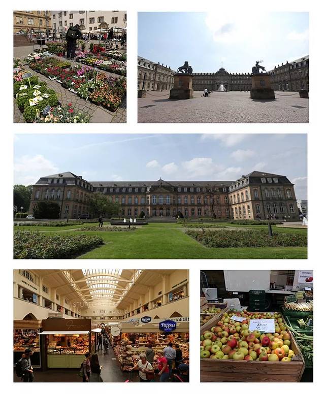 在德国自驾攻略,德国自驾攻略注意事项是什么