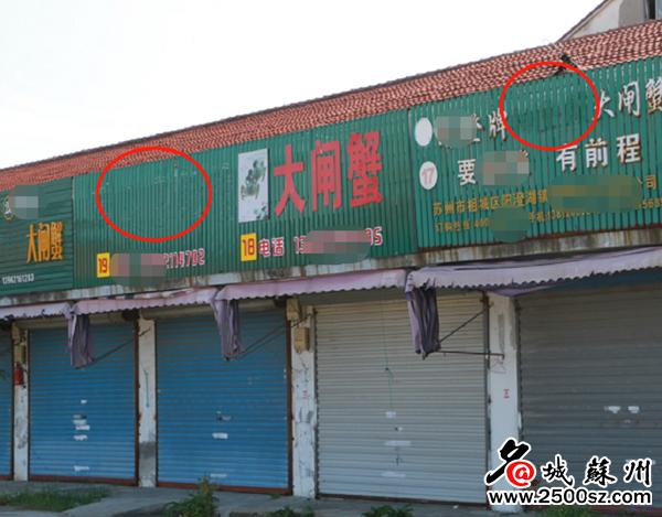 大闸蟹为什么那么多电商,大闸蟹电商款和精品款有什么区别