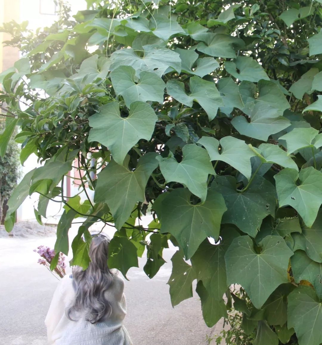 谁拍谁丑特效,谁拍谁丑道具