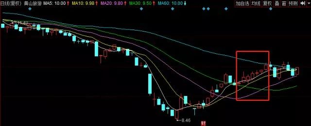 持股就送芝麻乳、龟苓膏、优惠券......五花八门的上市公司“实物分红”丨理财应健中