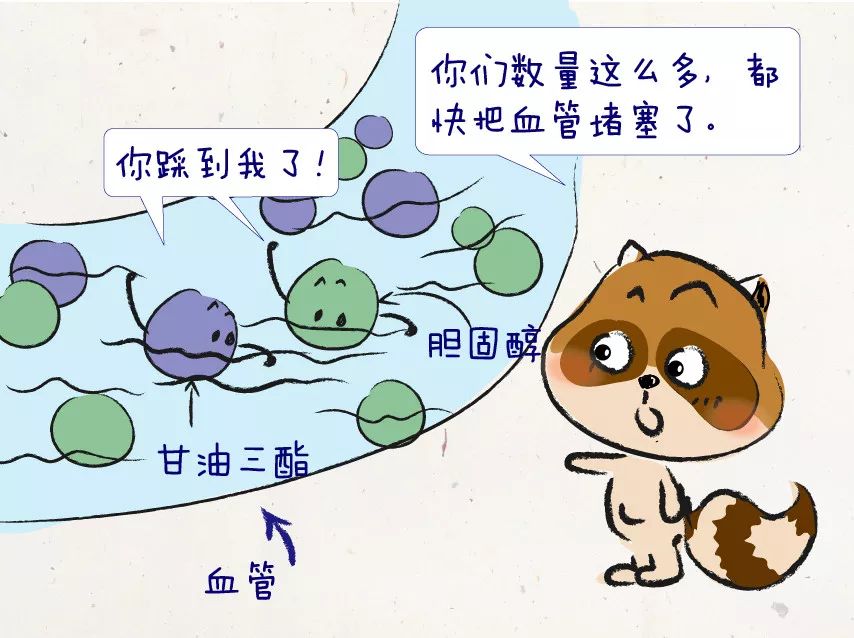 血管堵塞的三种面相,有这4种面相有福气