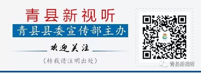 青县集会,2019沧州旅发大会