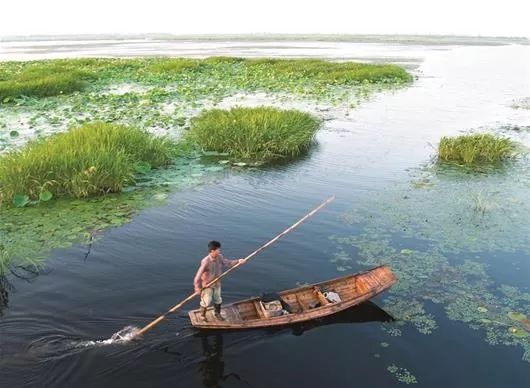 2019/8/26(941)《湖北日报》整版丨携手同行,形成合力,用法治保护国家利益和社会公共利益
