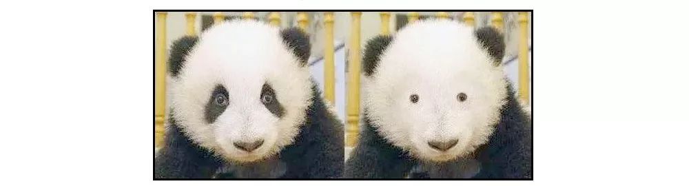 喝咖啡对身体有什么好处和坏处,喝咖啡有什么好处什么时间喝好