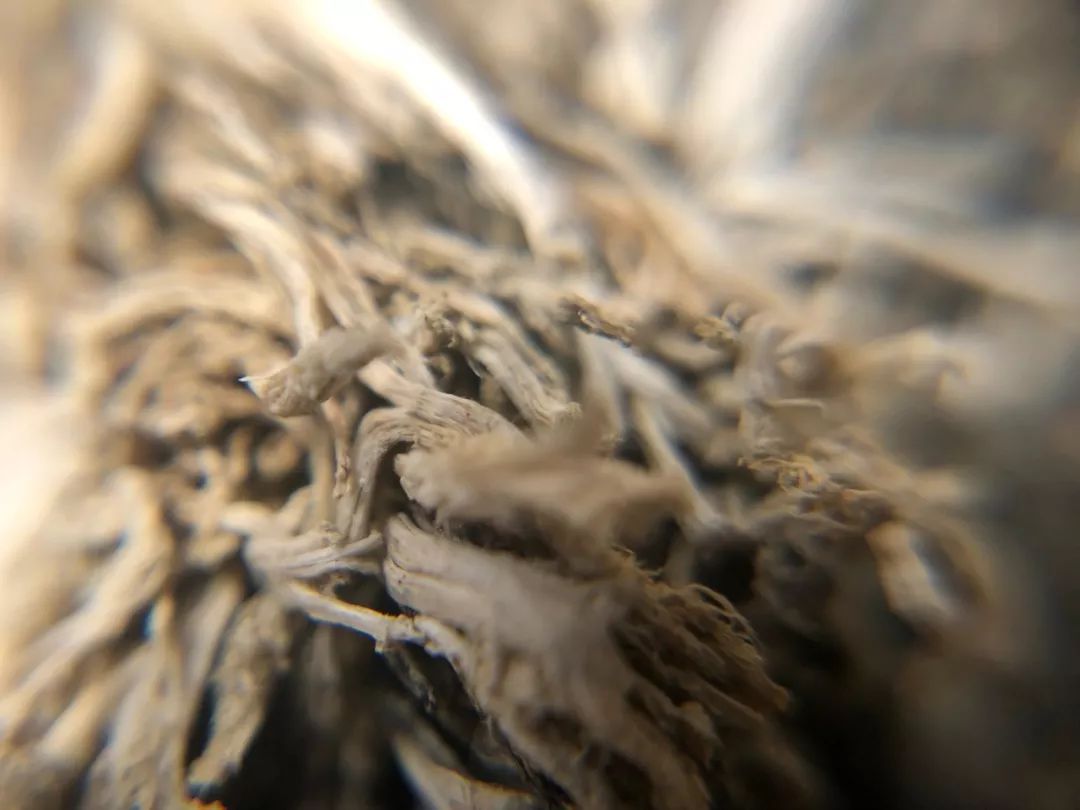 厦门旅拍费用一般多少钱,旅拍厦门四日