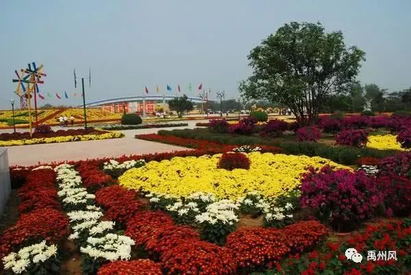 许昌六个县哪个县最富,禹州在许昌经济排名