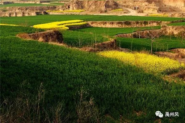 许昌的经济靠两大县级市吗,许昌经济对比禹州