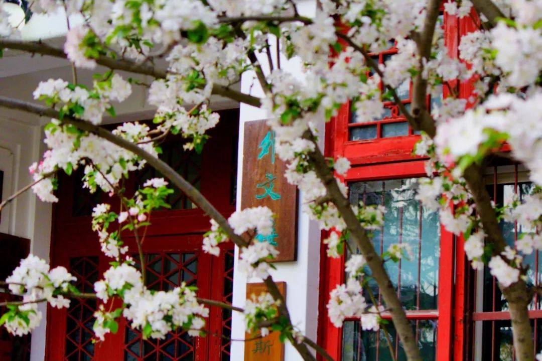 定格摄影风景,定格玉溪摄影