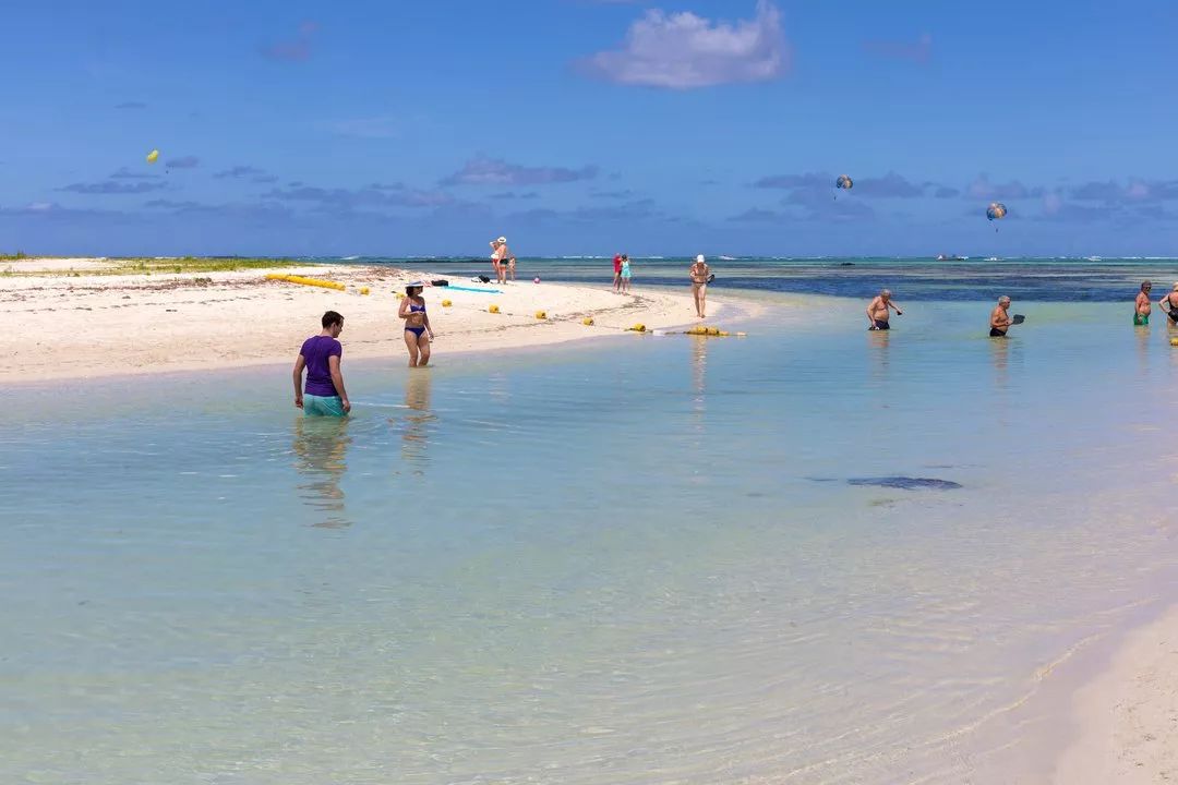 毛里求斯的基础知识,毛里求斯的十个秘密