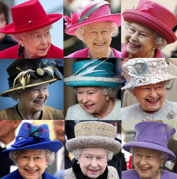 女王的柯基中文版免费观看完整版,女王的柯基在线免费看全集完整版