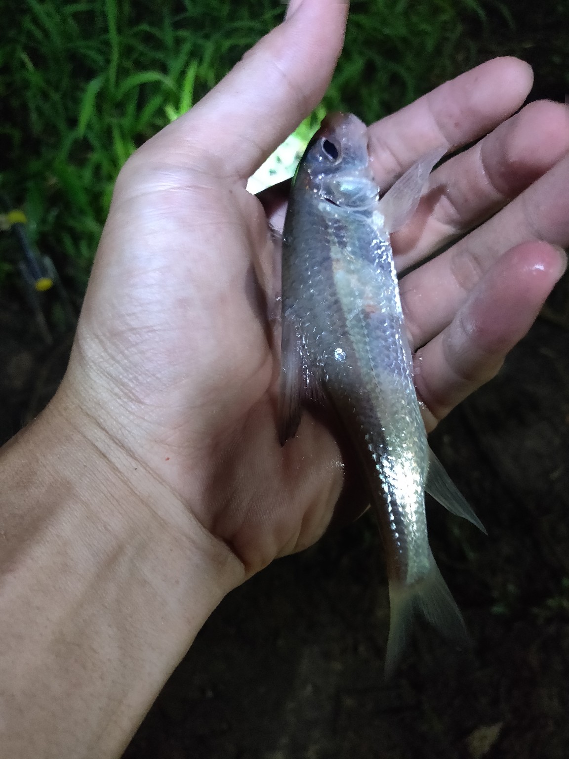 水情不稳定如何钓鱼,水情不明钓鱼必须每次都调漂吗