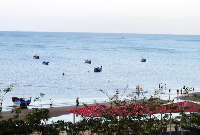 大连开海后的海鲜,开海了吃海鲜去哪个码头最便宜